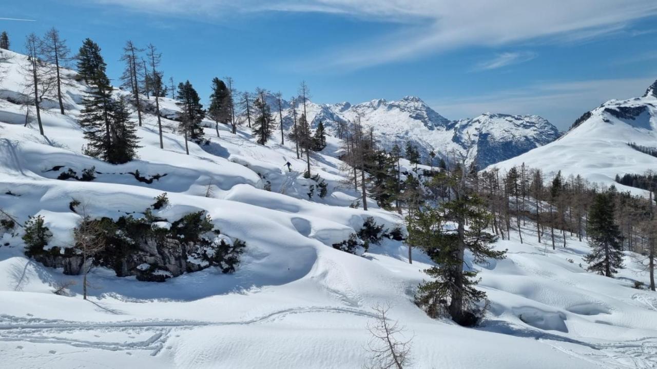 Pension Erlhof Saalfelden Екстериор снимка