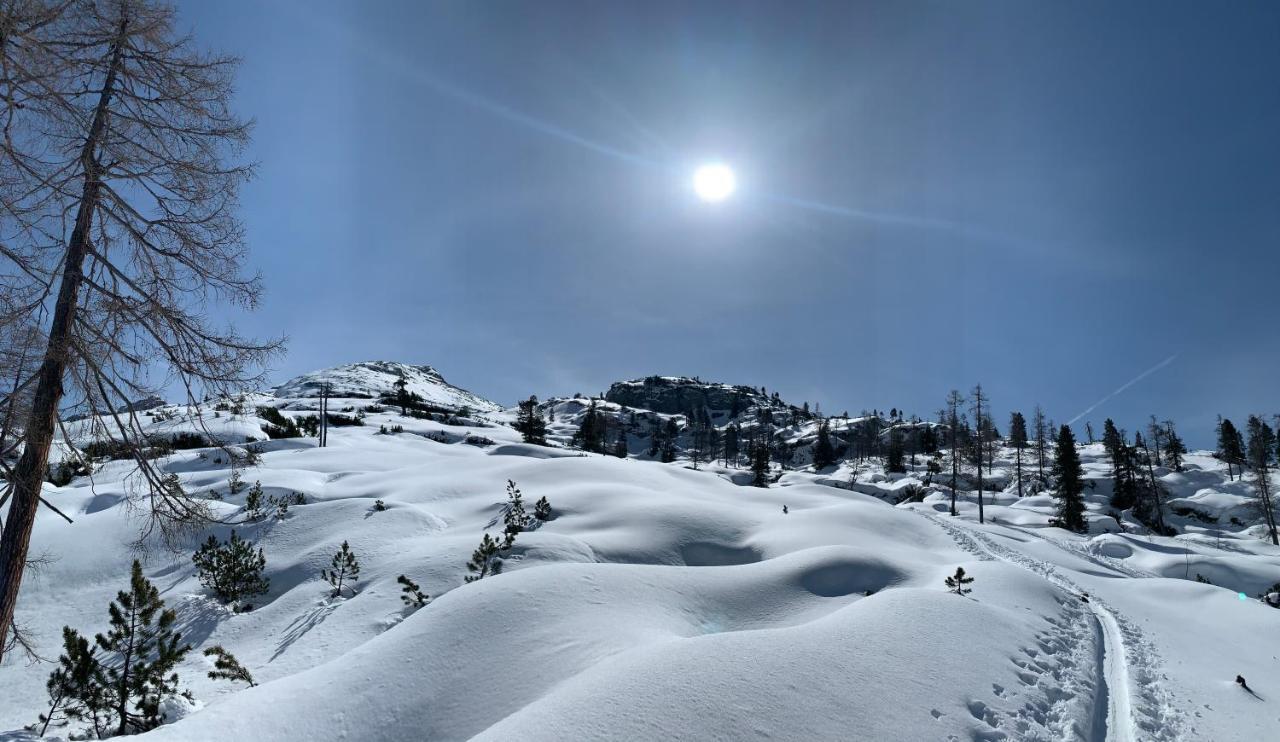 Pension Erlhof Saalfelden Екстериор снимка