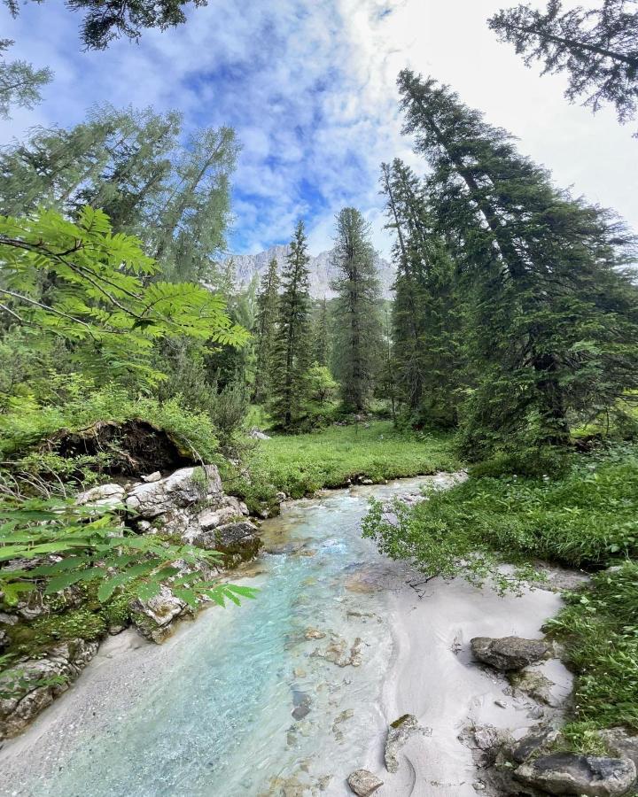 Pension Erlhof Saalfelden Екстериор снимка