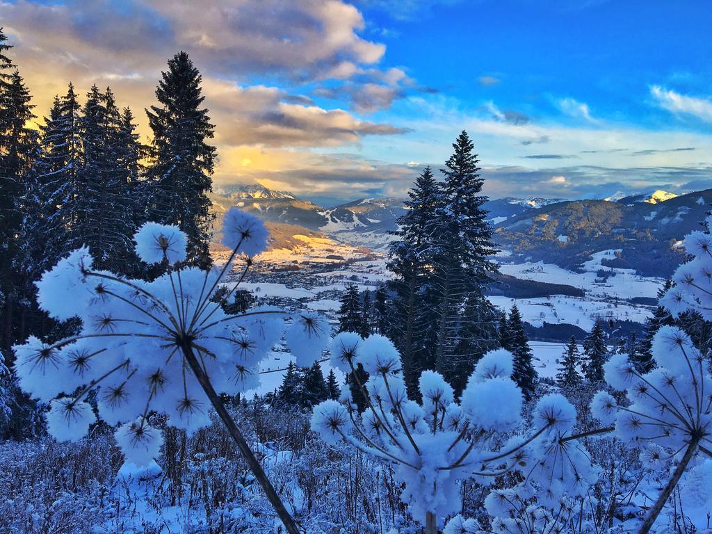 Pension Erlhof Saalfelden Екстериор снимка
