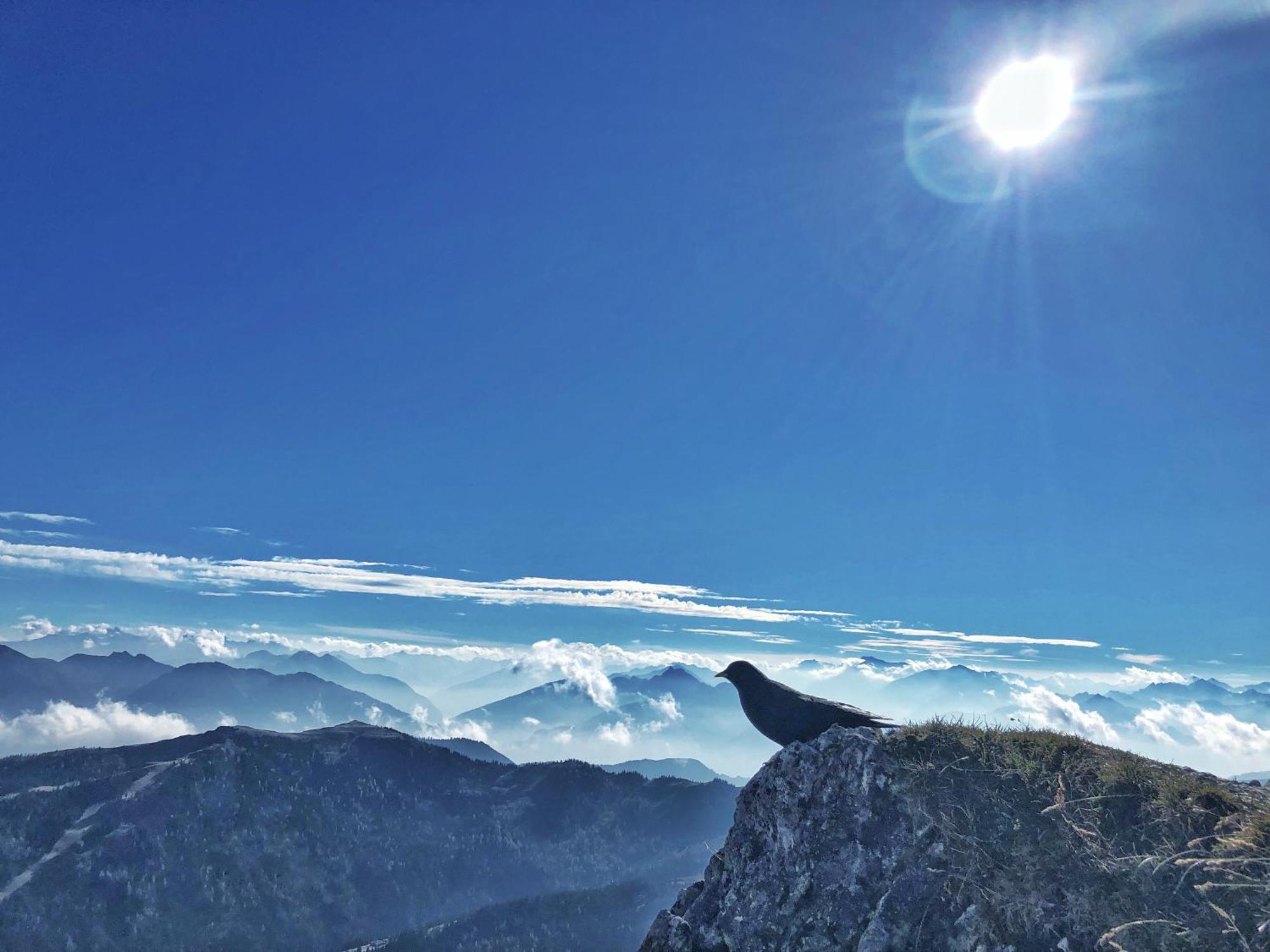 Pension Erlhof Saalfelden Екстериор снимка