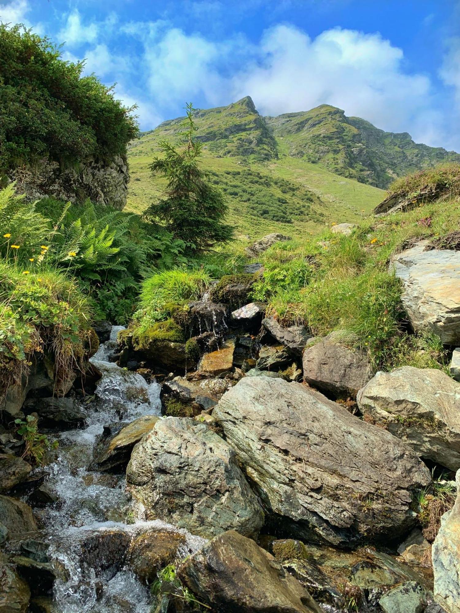 Pension Erlhof Saalfelden Екстериор снимка