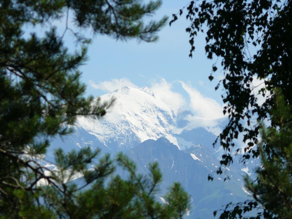 Pension Erlhof Saalfelden Стая снимка